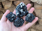 Natural Schorl Black Tourmaline Specimens x 12 From Erongo, Namibia - Toprock Gemstones and Minerals 