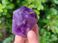 Polished Chevron Amethyst Crystals x 6 Zambia