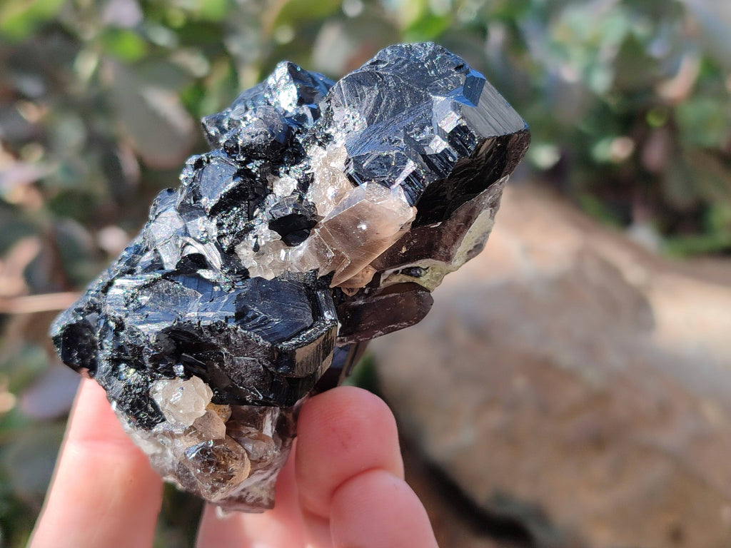 Natural Schorl Black Tourmaline Specimens x 6 From Erongo, Namibia - Toprock Gemstones and Minerals 