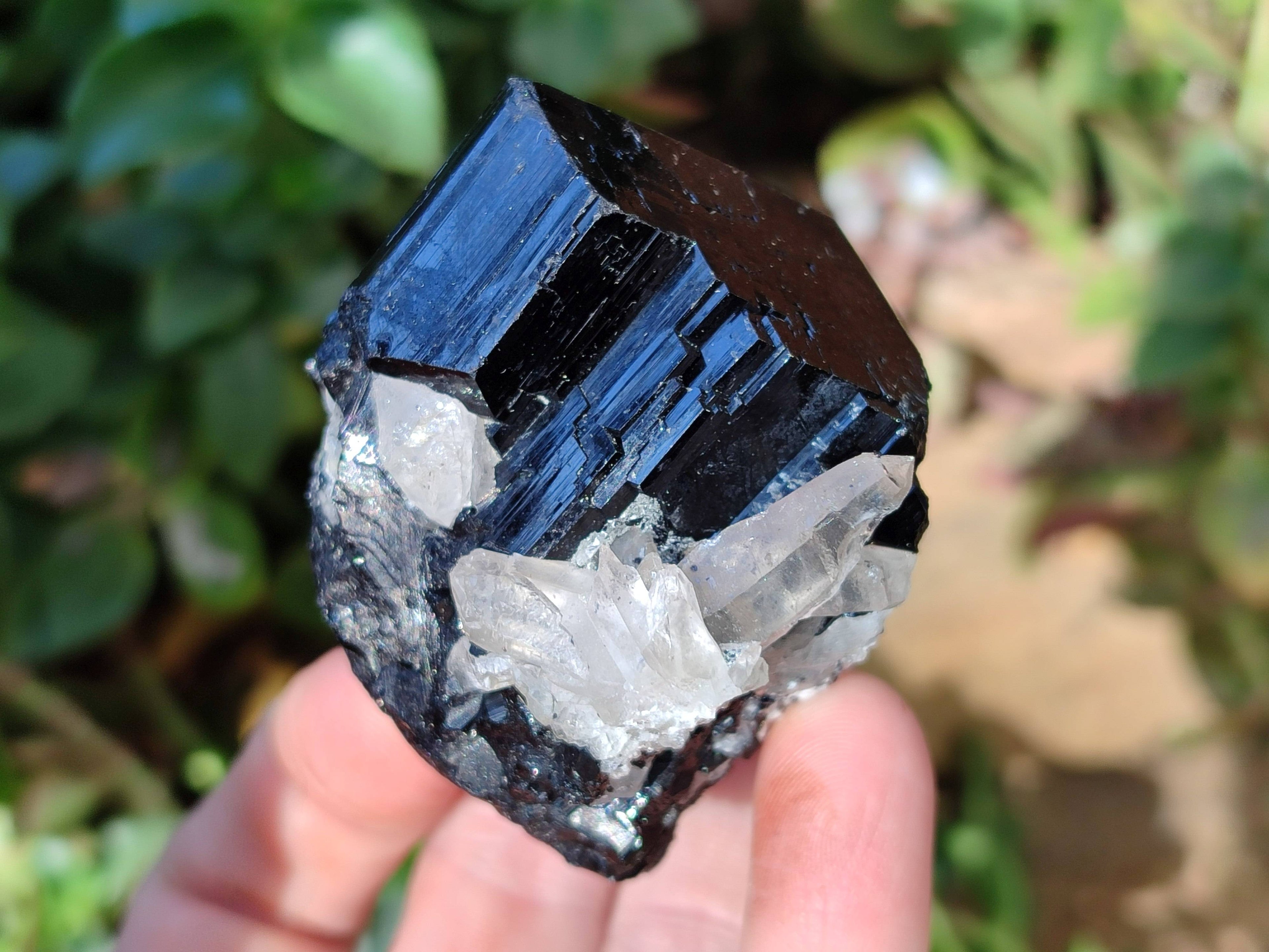 Natural Schorl Black Tourmaline Specimens x 6 From Erongo, Namibia - Toprock Gemstones and Minerals 