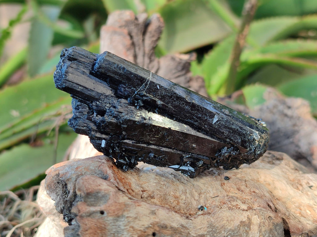 Natural Schorl Black Tourmaline Specimens x 6 From Erongo, Namibia - Toprock Gemstones and Minerals 
