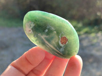 Polished Emerald Mtorolite Free Forms x 12 From Mutorashanga, Zimbabwe - Toprock Gemstones and Minerals 