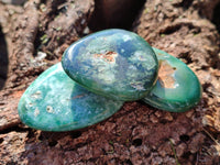 Polished Emerald Mtorolite Free Forms x 12 From Mutorashanga, Zimbabwe - Toprock Gemstones and Minerals 
