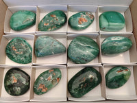 Polished Emerald Mtorolite Free Forms x 12 From Mutorashanga, Zimbabwe - Toprock Gemstones and Minerals 