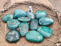 Polished Emerald Mtorolite Free Forms x 12 From Mutorashanga, Zimbabwe - Toprock Gemstones and Minerals 