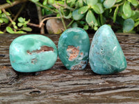 Polished Emerald Mtorolite Free Forms x 12 From Mutorashanga, Zimbabwe - Toprock Gemstones and Minerals 