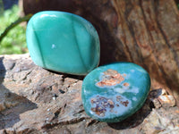 Polished Emerald Mtorolite Free Forms x 12 From Mutorashanga, Zimbabwe - Toprock Gemstones and Minerals 