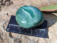 Polished Emerald Mtorolite Free Forms x 12 From Mutorashanga, Zimbabwe - Toprock Gemstones and Minerals 