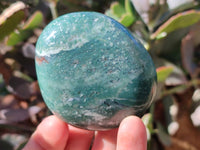 Polished Emerald Mtorolite Free Forms x 12 From Mutorashanga, Zimbabwe - Toprock Gemstones and Minerals 