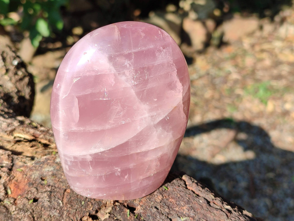 Polished Rose Quartz Standing Free Forms x 3 Madagascar - Toprock Gemstones and Minerals 