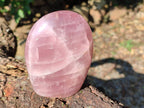 Polished Rose Quartz Standing Free Forms x 3 Madagascar - Toprock Gemstones and Minerals 
