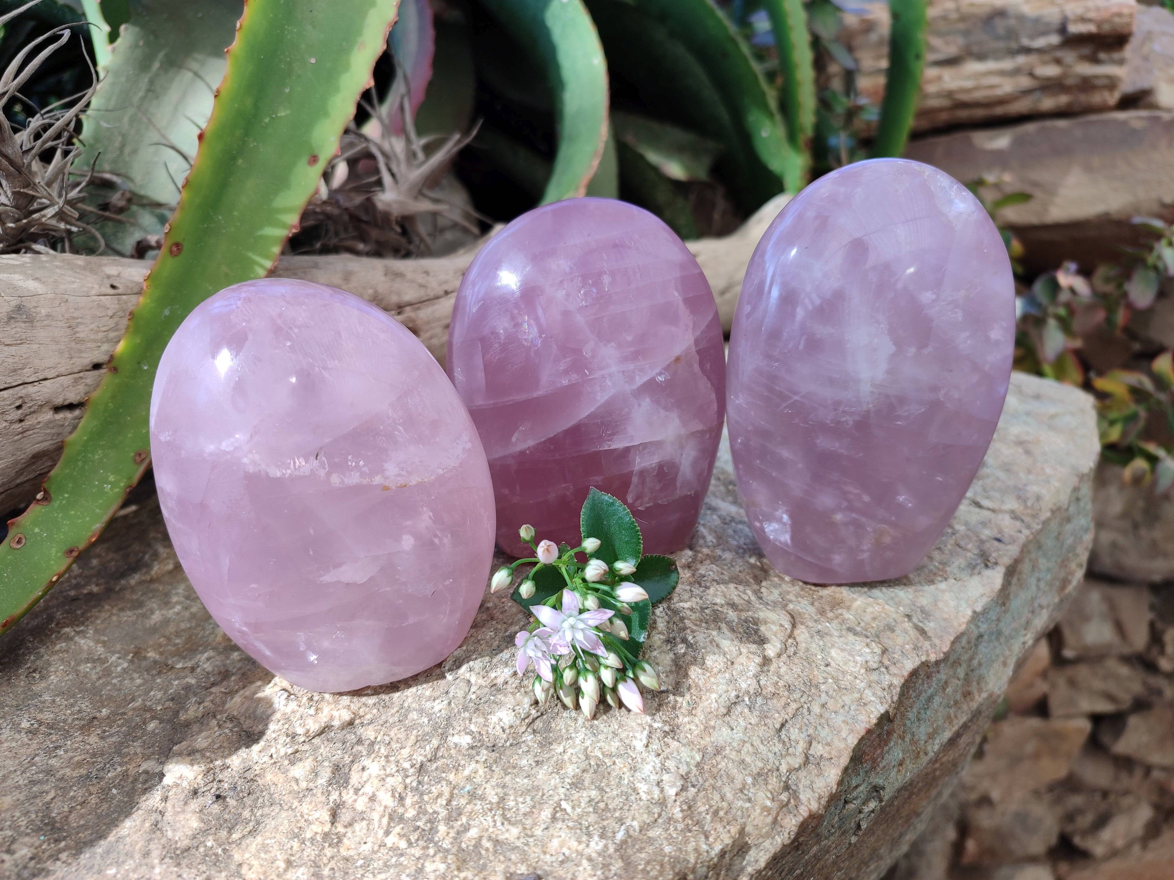 Polished Rose Quartz Standing Free Forms x 3 Madagascar - Toprock Gemstones and Minerals 