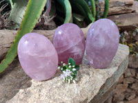 Polished Rose Quartz Standing Free Forms x 3 Madagascar
