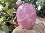 Polished Rose Quartz Standing Free Forms x 3 Madagascar - Toprock Gemstones and Minerals 