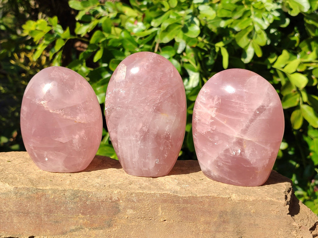 Polished Rose Quartz Standing Free Forms x 3 Madagascar - Toprock Gemstones and Minerals 