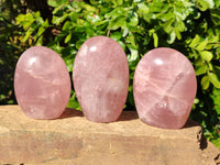 Polished Rose Quartz Standing Free Forms x 3 Madagascar