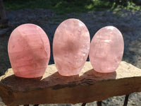 Polished Rose Quartz Standing Free Forms x 3 Madagascar