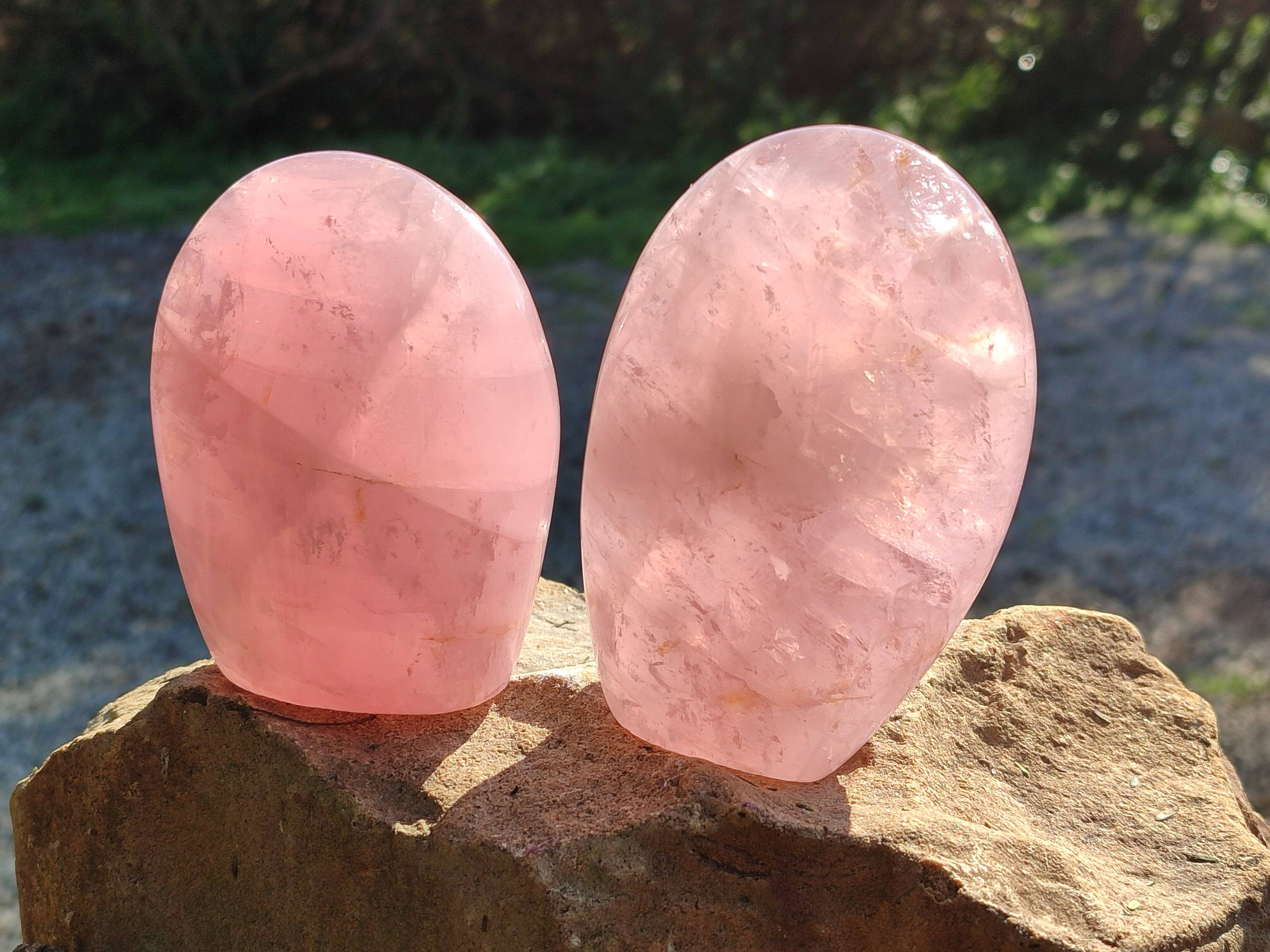 Polished Rose Quartz Standing Free Forms x 3 Madagascar - Toprock Gemstones and Minerals 