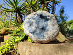 Natura Celestite Geode Specimen x 1 From Sakoany, Madagascar - Toprock Gemstones and Minerals 