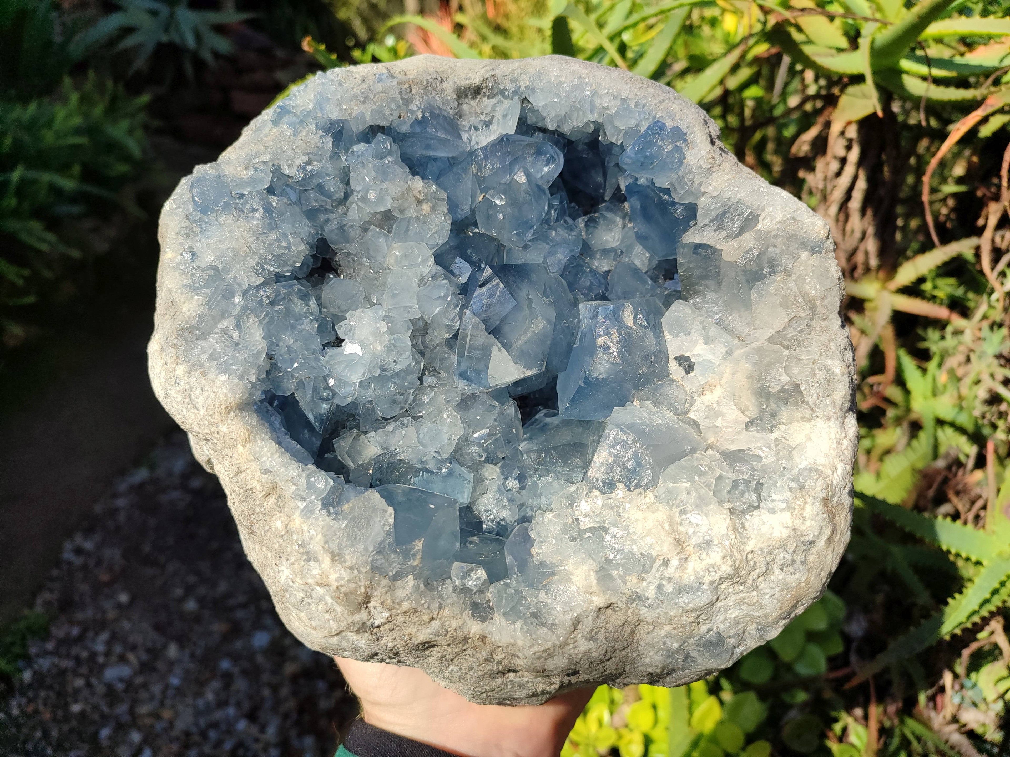 Natura Celestite Geode Specimen x 1 From Sakoany, Madagascar - Toprock Gemstones and Minerals 