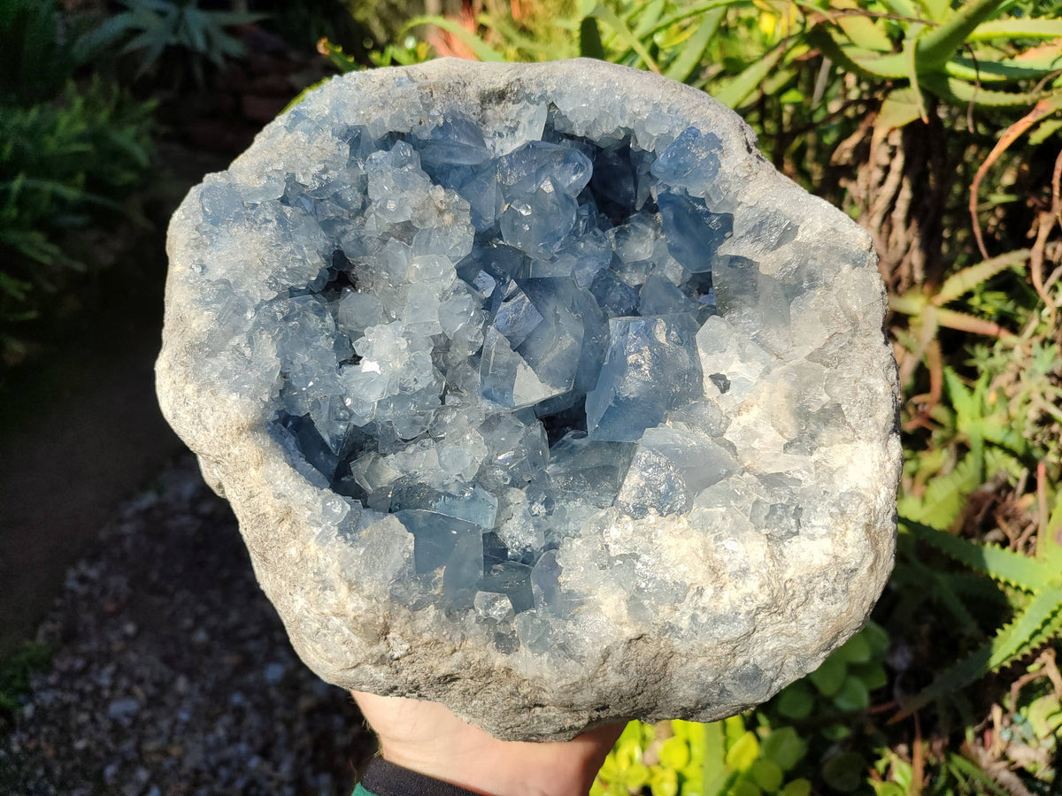 Natura Celestite Geode Specimen x 1 From Sakoany, Madagascar - Toprock Gemstones and Minerals 