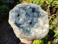 Natura Celestite Geode Specimen x 1 From Sakoany, Madagascar - Toprock Gemstones and Minerals 