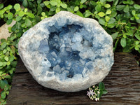 Natura Celestite Geode Specimen x 1 From Sakoany, Madagascar - Toprock Gemstones and Minerals 