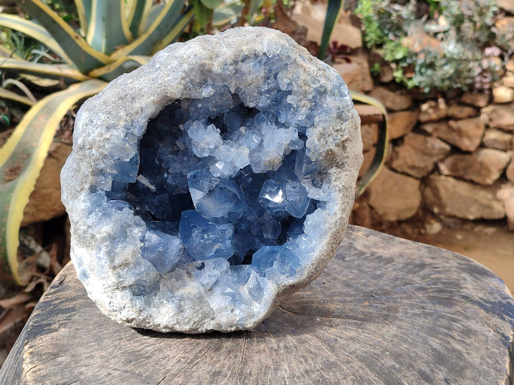 Natura Celestite Geode Specimen x 1 From Sakoany, Madagascar - Toprock Gemstones and Minerals 