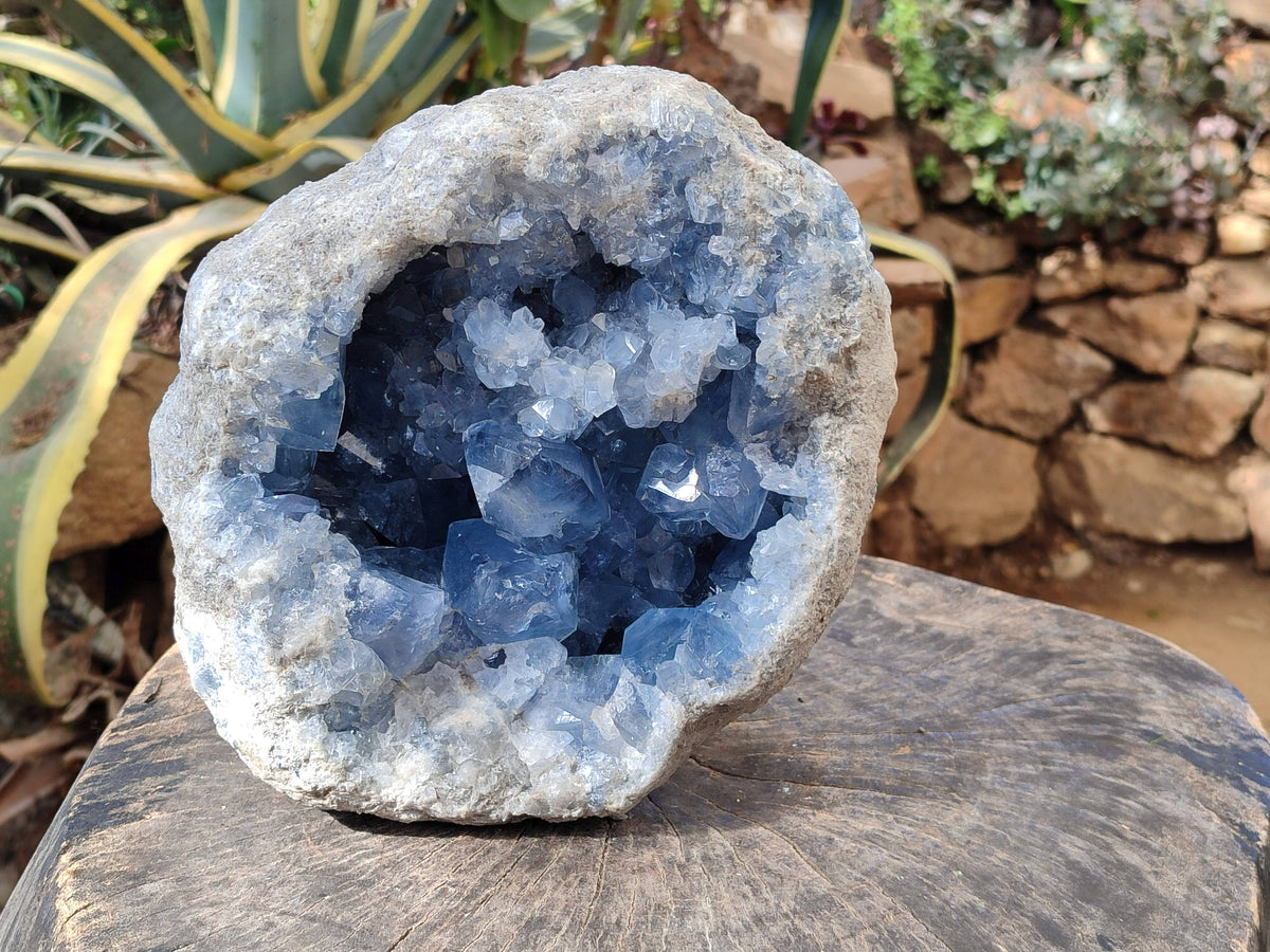 Natura Celestite Geode Specimen x 1 From Sakoany, Madagascar - Toprock Gemstones and Minerals 