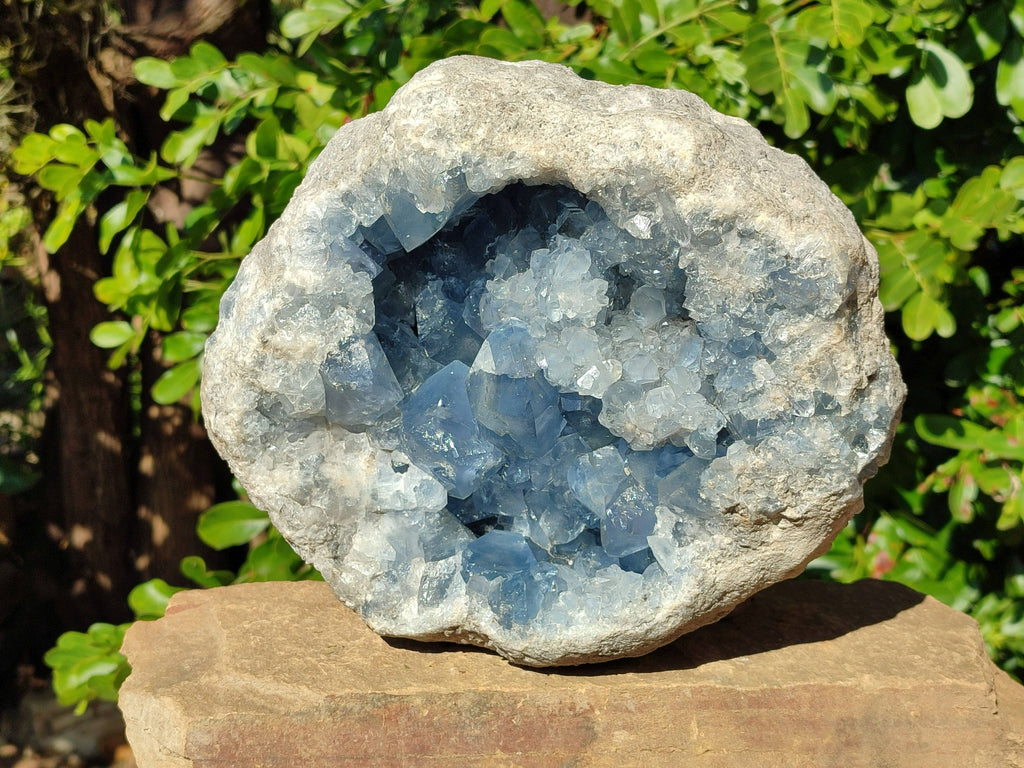 Natura Celestite Geode Specimen x 1 From Sakoany, Madagascar - Toprock Gemstones and Minerals 