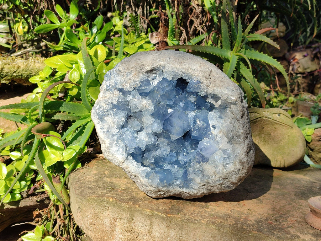 Natura Celestite Geode Specimen x 1 From Sakoany, Madagascar - Toprock Gemstones and Minerals 