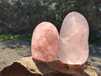 Polished Rose Quartz Standing Free Forms x 2 Madagascar - Toprock Gemstones and Minerals 