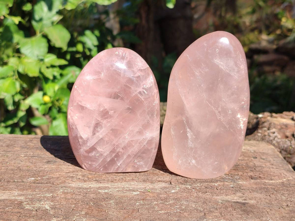 Polished Rose Quartz Standing Free Forms x 2 Madagascar - Toprock Gemstones and Minerals 