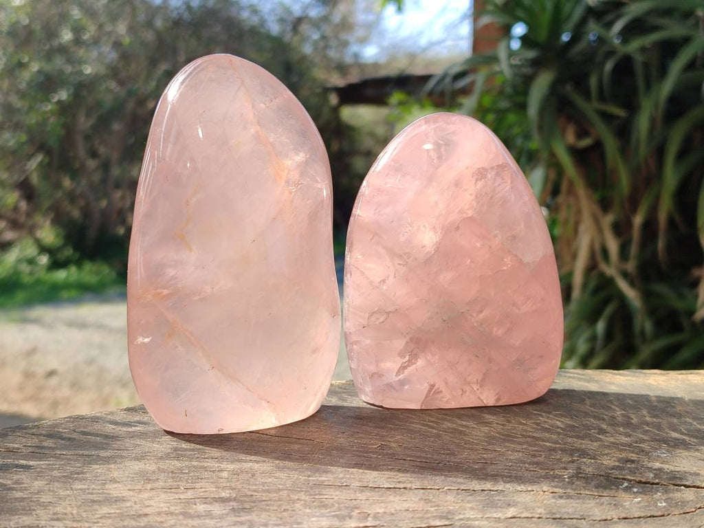 Polished Rose Quartz Standing Free Forms x 2 Madagascar - Toprock Gemstones and Minerals 
