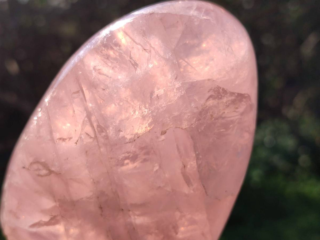 Polished Rose Quartz Standing Free Forms x 2 Madagascar - Toprock Gemstones and Minerals 