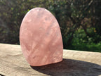 Polished Rose Quartz Standing Free Forms x 2 Madagascar - Toprock Gemstones and Minerals 