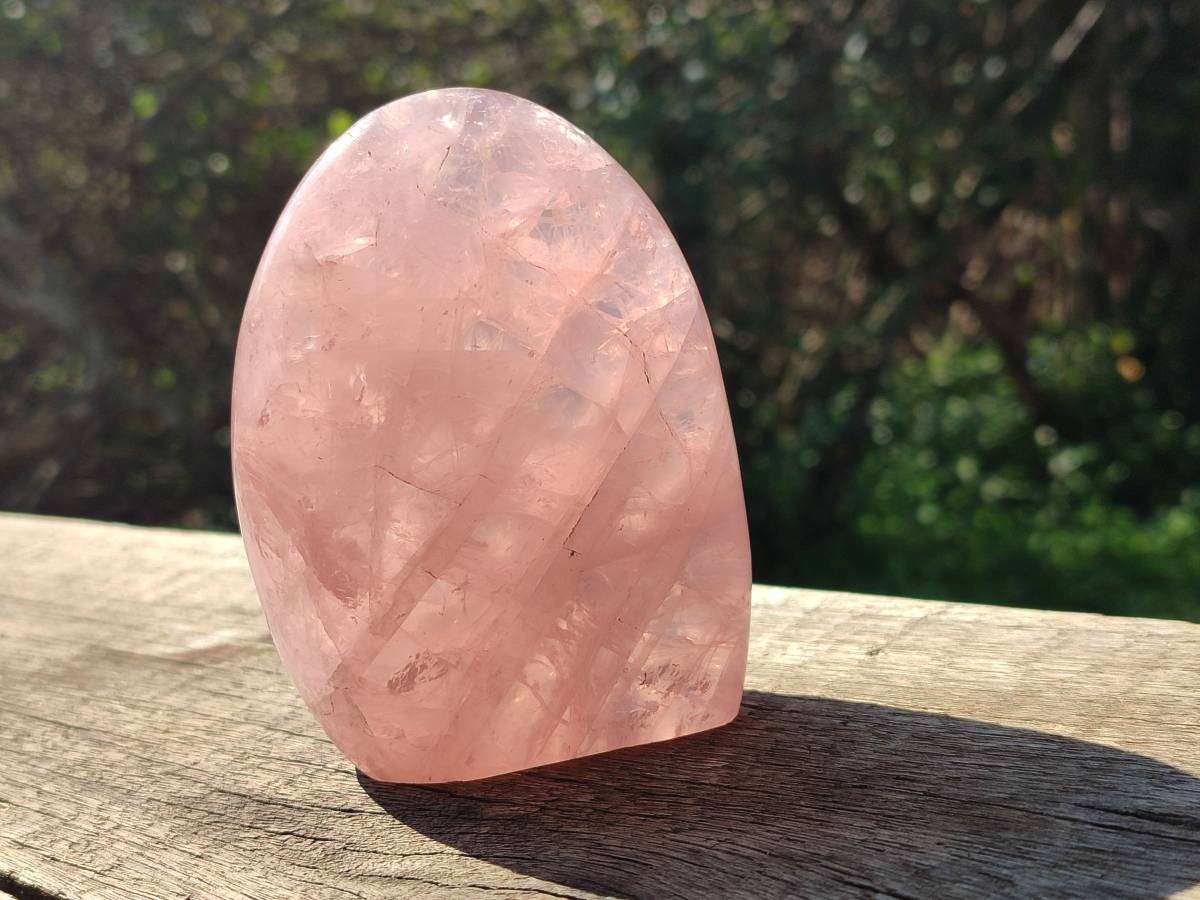 Polished Rose Quartz Standing Free Forms x 2 Madagascar - Toprock Gemstones and Minerals 