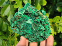 Natural Silky Malachite Specimens x 2 From Kasompe, Congo