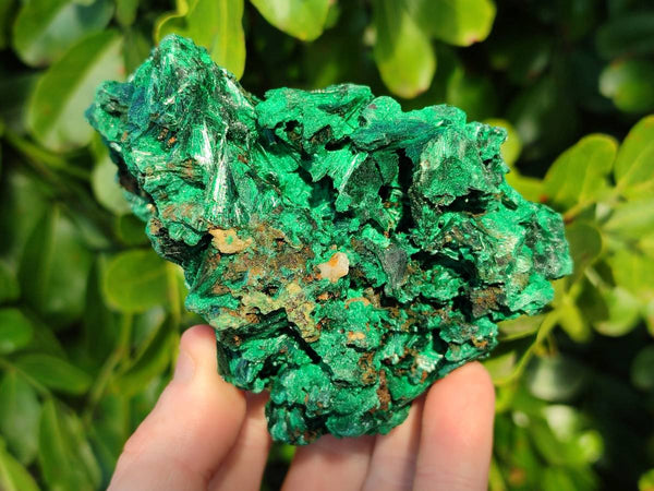 Natural Silky Malachite Specimens x 2 From Kasompe, Congo