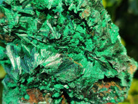 Natural Silky Malachite Specimens x 2 From Kasompe, Congo