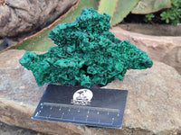 Natural Silky Malachite Specimens x 2 From Kasompe, Congo