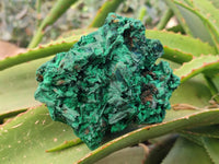 Natural Silky Malachite Specimens x 2 From Kasompe, Congo