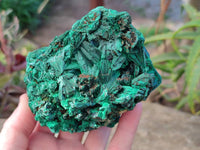 Natural Silky Malachite Specimens x 2 From Kasompe, Congo