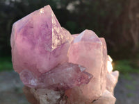 Natural Jacaranda Amethyst Quartz Clusters x 2 From Mumbwa, Zambia