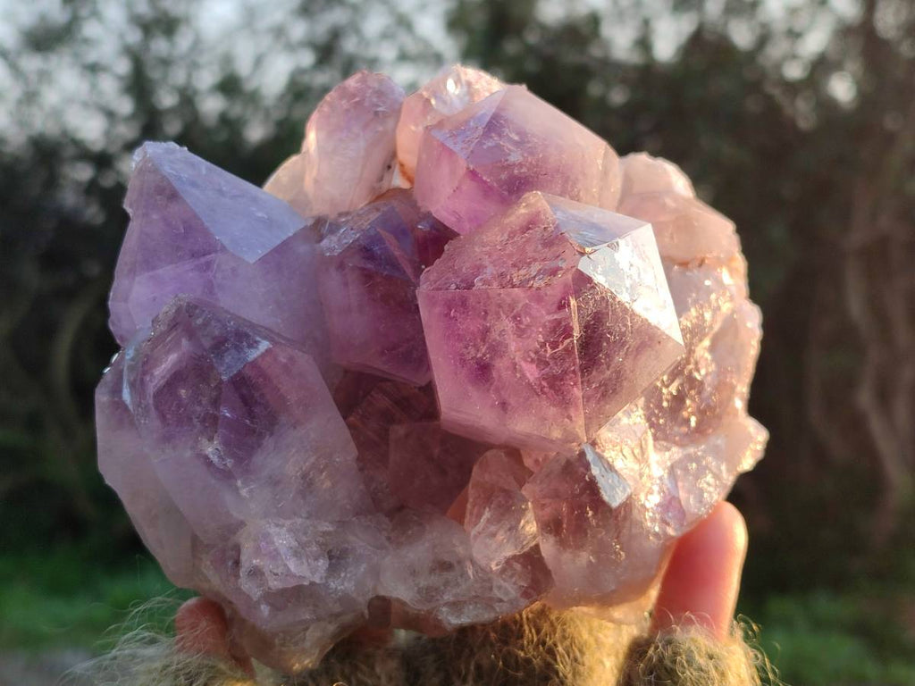 Natural Jacaranda Amethyst Quartz Clusters x 2 From Mumbwa, Zambia - Toprock Gemstones and Minerals 