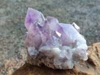 Natural Jacaranda Amethyst Quartz Clusters x 2 From Mumbwa, Zambia