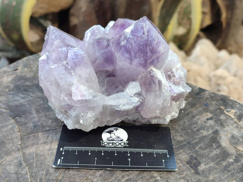Natural Jacaranda Amethyst Quartz Clusters x 2 From Mumbwa, Zambia - Toprock Gemstones and Minerals 
