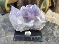 Natural Jacaranda Amethyst Quartz Clusters x 2 From Mumbwa, Zambia