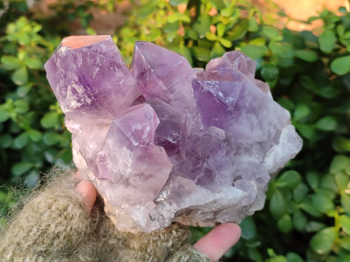 Natural Jacaranda Amethyst Quartz Clusters x 2 From Mumbwa, Zambia - Toprock Gemstones and Minerals 