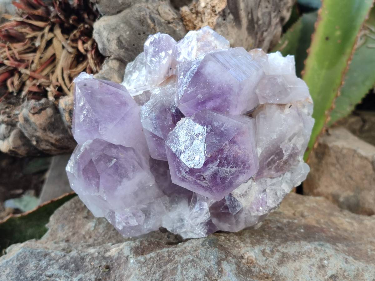 Natural Jacaranda Amethyst Quartz Clusters x 2 From Mumbwa, Zambia - Toprock Gemstones and Minerals 